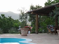 Summer - Next to the pool